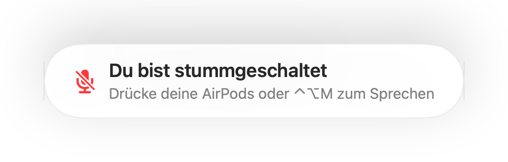 Die Erinnerung „Du bist stummgeschaltet“ am unteren Bildschirmrand