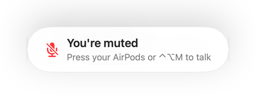 The “You're muted” reminder at the bottom of the screen
