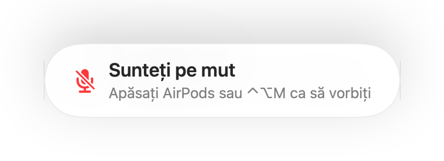 Mementoul „Sunteți pe mut” în partea de jos a ecranului